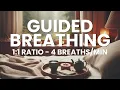 Guided Breathing Exercise 1-to-1 ratio 4 Breaths Per Minute