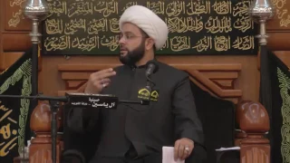 رواية عجيبة بحق أمير المؤمنين علي (عليه السلام ) - سماحة الشيخ مهدي الطرفي