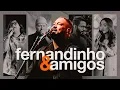 Download Lagu Fernandinho e Amigos (Coletânea)