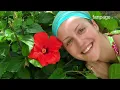 Giulia killed by her husband with stone blows, her mother: 'For the judges no premeditation, they...
