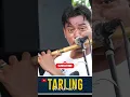 lurue sensasi jeh #anikarnika #tarlingmania #tarling #newarnikajaya  #dangdut #dangdutkoplo