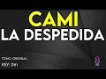 Cami - La Despedida - Karaoke Instrumental