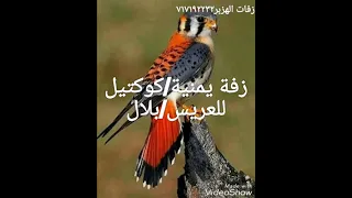 زفة يمنية كوكتيل للعريس بلال زفات الهزبر717192232 