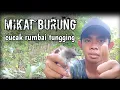 pikat burung cucak rumbai tungging udah mengeluarkan rayuan mautnya auto poin