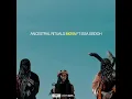 Download Lagu Ancestral rituals - moya ft issah sisdoh