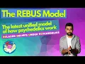 The REBUS Model Explained How Psychedelics Relax Beliefs and Rewire the Brain