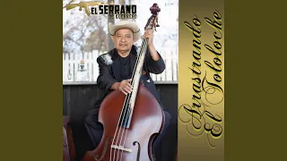 Download El Tejano MP3