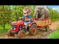 Lagu 🐒🚜 Monkey iZi Drives Tractor to Rescue Elephant Trapped in Mud Pit – A Breathtaking Moment!