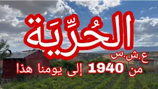 حكاية الحرية 