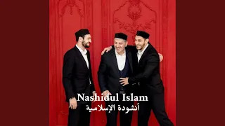 توضيح دندنها