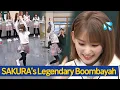 [Knowing Bros] No one expected this SAKURA's legendary \