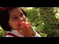 Download Lagu Chhori Malai Bhagi Bhagi Cover Song