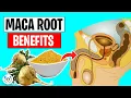 Download Lagu 9 Maca Root Benefits You’ll Be Amazed To Know