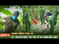 Download Lagu Hành trình phá án: Màn rửa hận kinh hoàng của gã trai bản vì vợ ‘thèm’ trai trẻ phát rồ | ANTV