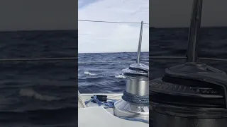 Big waves or just the camera? #sailing #sailinglife