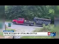 Morgan County man arrested in Cullman County cattle theft