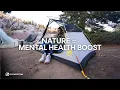 Download Lagu Why Nature is Your Best Mental Health Medicine?