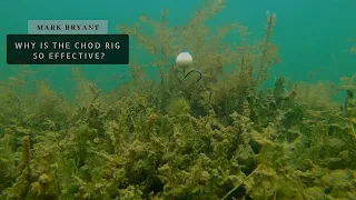 WHY Is The Chod Rig So EFFECTIVE 
