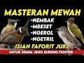 Dahsyat!! MASTERAN KOMBINASI BESETAN DAN TEMBAK4N T4JAM || Untuk semua jenis burung fighter