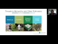 How Everyone can Contribute to Monarch Butterfly Conservation