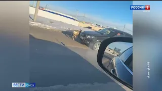 В Омске ввели режим повышенной готовности из-за непрекращающейся миграции в черте города косуль