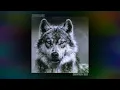 نور الدين الطيار - مابقتش بضحك (Official Audio) Xoureldin