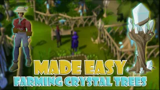 Quick Guide to Farming Crystal Trees in OSRS