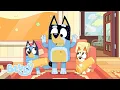 Download Lagu Les moments les plus drôles de Bandit 💙 | Bluey Français Chaîne Officielle