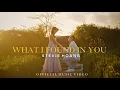 Download Lagu Stevie Hoang - What I Found In You (Official Music Video)