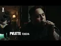 Lagu Pvlette - Tersedia // PELATAR LIVE