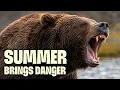 The Hidden Dangers of Alaska s Summer FULL DOCUMENTARY World s Wildest City Anchorage