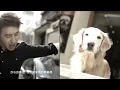 潘瑋柏Will Pan / 24個比利專輯   [專屬於你] (官方完整 HD 版)MV