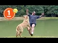 Download Lagu FUNNIEST Pets of 2024...So Far 😂 | BEST Compilation
