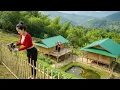 Download Lagu 3 Days Journey: Build Bamboo Fence Around Bamboo Cabin and Farm | Peaceful Off Grid Life