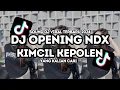 Download Lagu DJ OPENING NDX KIMCIL KEPOLEN VIRAL TIKTOK TERBARU REMIX YANG KALIAN CARI ‼️