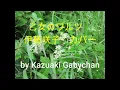 1975 ”乙女のワルツ ”Otome no Waqritsu"  ”A Girl's Waltz" カバー, 伊藤咲子, Sakiko Ito, cover by Kazuaki Gabychan