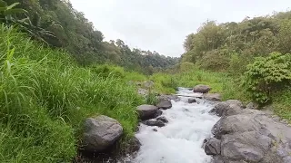 Suara air sungai alami untuk white noise yang meredam suara bising dan menenangkan #meditasi