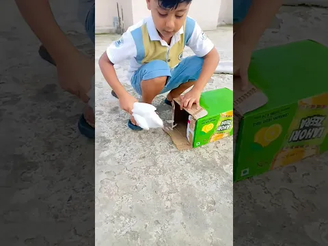 Is dibbe mein kya hai 🤔❤️ #viral #shorts #viralvideo #shortvideo #youtubeshorts #birds #kabootar