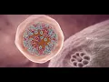 Download Lagu COVID-19 Animation: What Happens If You Get Coronavirus?