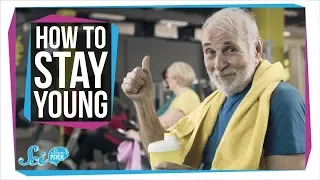 The Best Ways To Keep Your Mind Young 