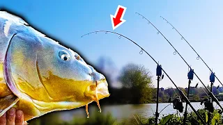 My Quest For A 40lb Carp