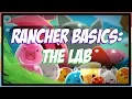 Slime Rancher Basics The Lab Slime Science