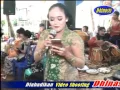 KEMBANG TEBU LIVE PAKIS JUMANTONO