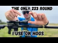 This Is the BEST Round For THERMAL HUNTING HOGS Insane Thermal Footage DoubleTap 223 SC-HP