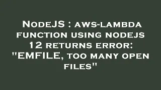 NodeJS aws-lambda function using nodejs 12 returns error EMFILE too many open files