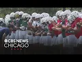 Chicago State University s brand new football team ready for inaugural season