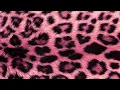 10 Hours of Pink Leopard Print No Sound Aesthetic Background TimelessScreens