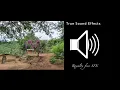 Download Lagu Indian village ambience   SFX