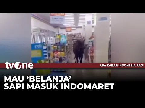 Sapi Kurban Masuk ke Minimarket, Merusak Motor Pegawai