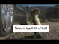 Geico announces they will layoff 6 of staff